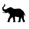 Kosher Safari